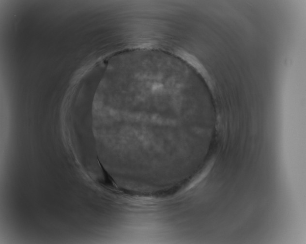 X0000088460577200706191331