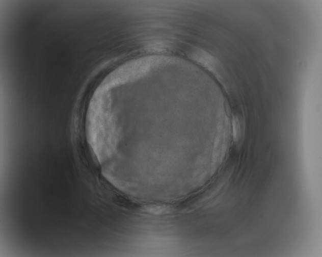 X0000088460579200706191331