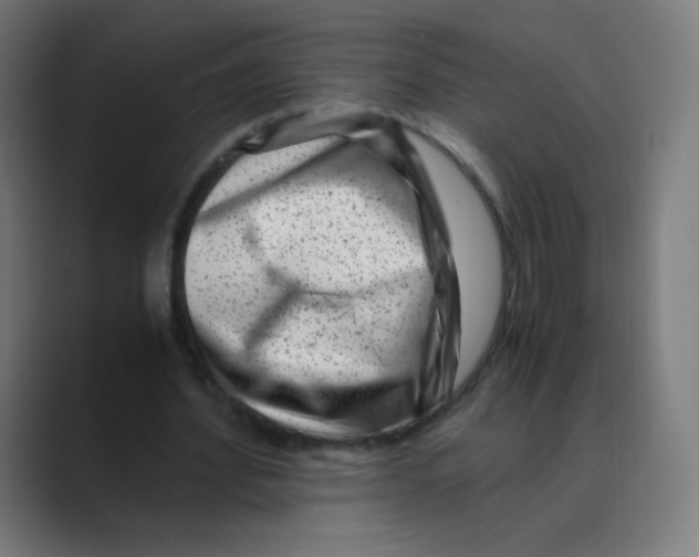 X0000088460580200706191331