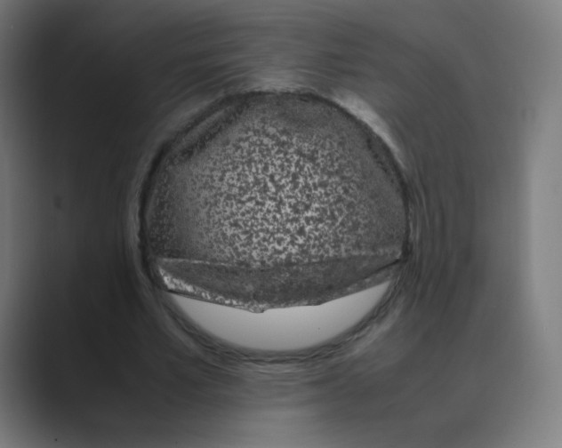 X0000088460581200706191331