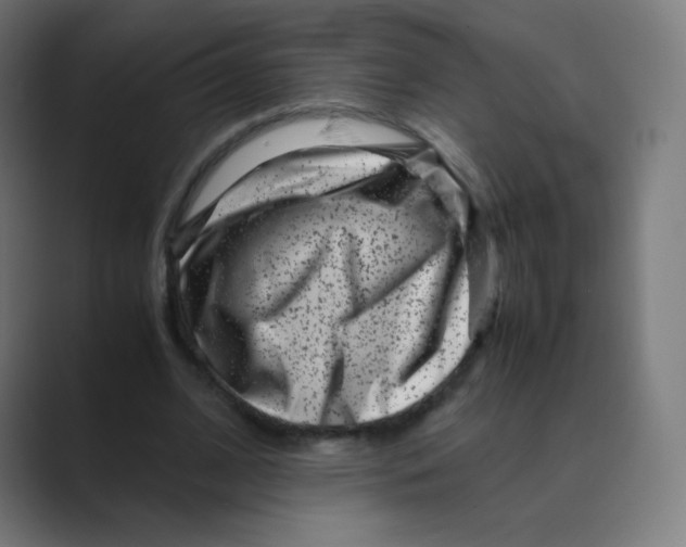 X0000088460584200706191330