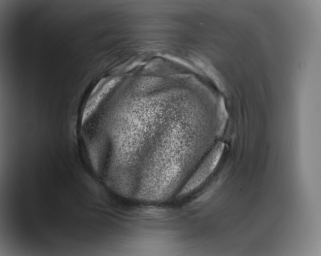 X0000088460585200706191330