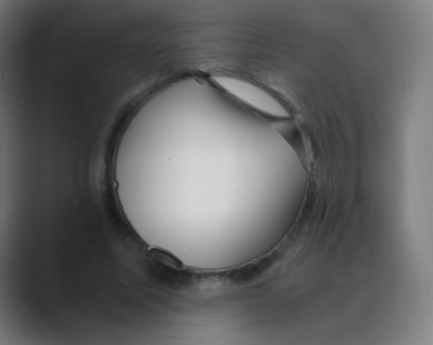 X0000088460587200706191330