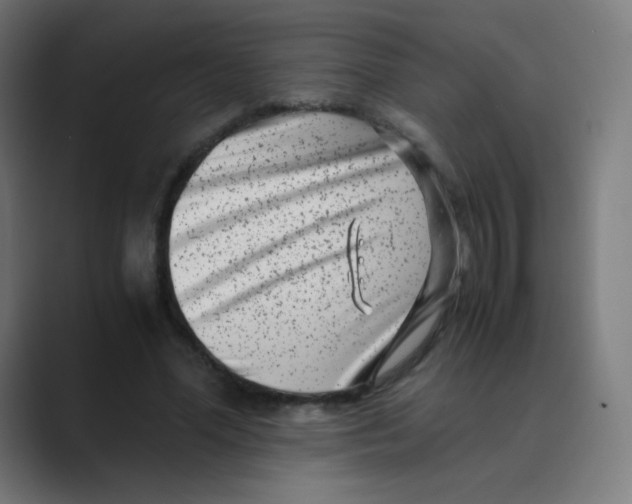X0000088460588200706191330