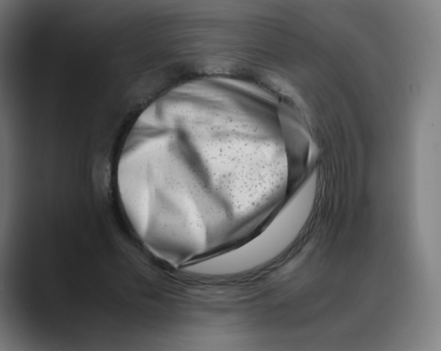X0000088460589200706191330
