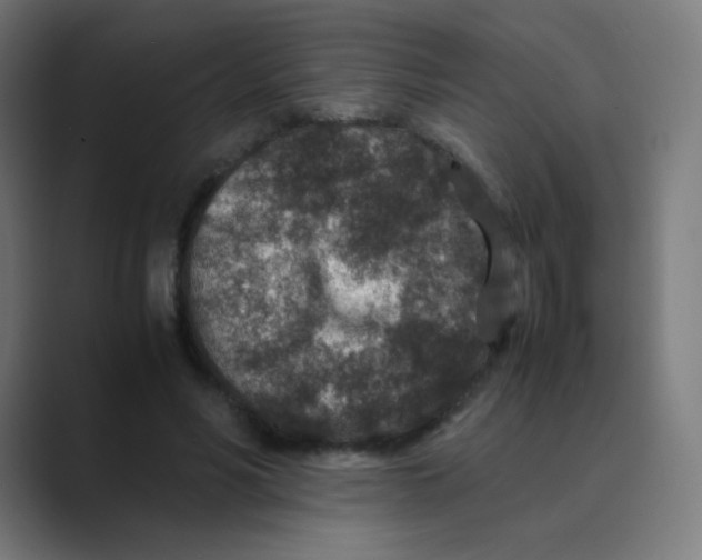 X0000088460590200706191330