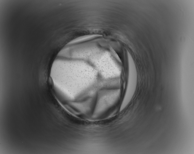 X0000088460593200706191330