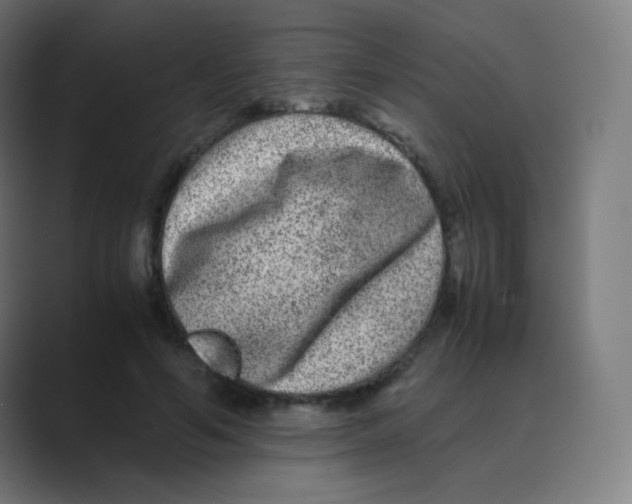 X0000088460594200706191330