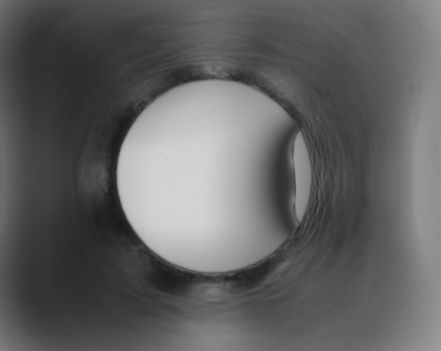 X0000088460595200706191330