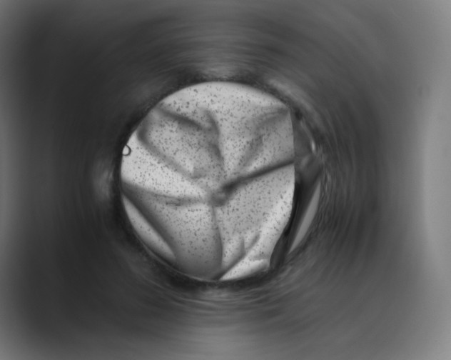 X0000088460596200706191330