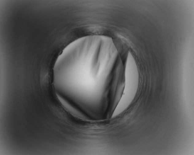 X0000088460597200706191330