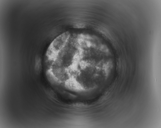 X0000088460598200706191330