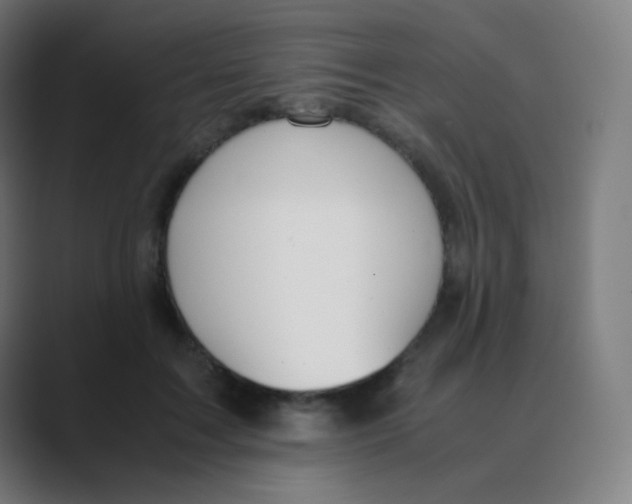 X0000088460603200706191330