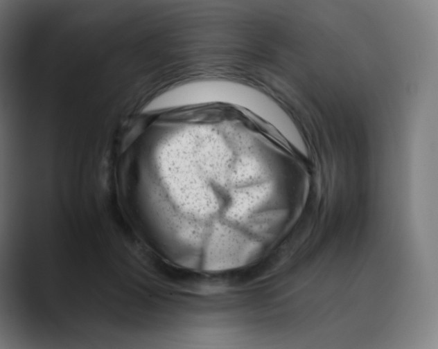 X0000088460604200706191330