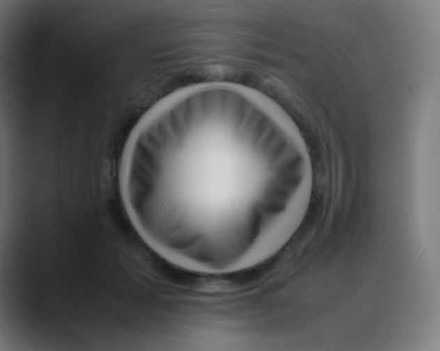 X0000088460605200706191330