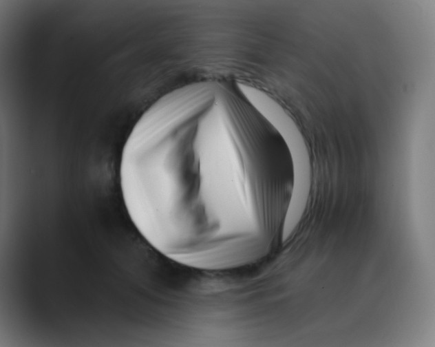 X0000088460608200706191330