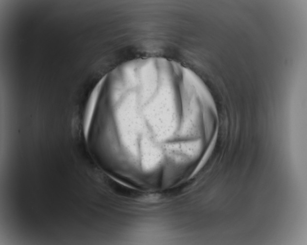 X0000088460609200706191330