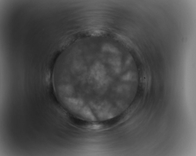 X0000088460610200706191330