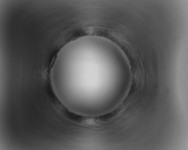 X0000088460611200706191330
