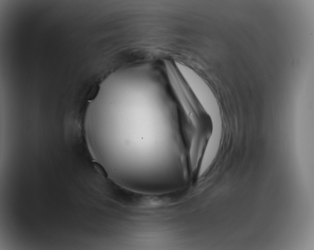 X0000088460613200706191330