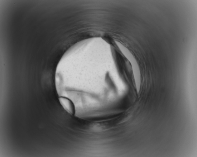 X0000088460616200706191330