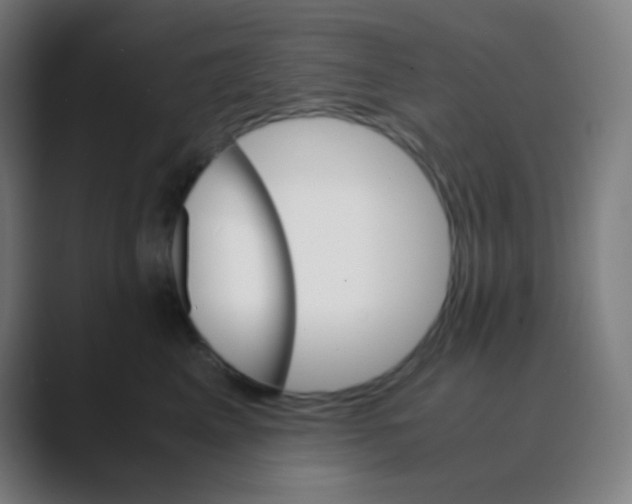 X0000088460617200706191330