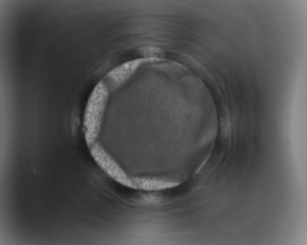 X0000088460618200706191330