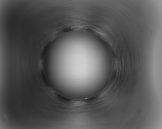 X0000088460621200706191330