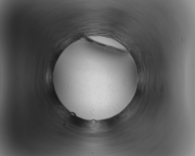 X0000088460623200706191330