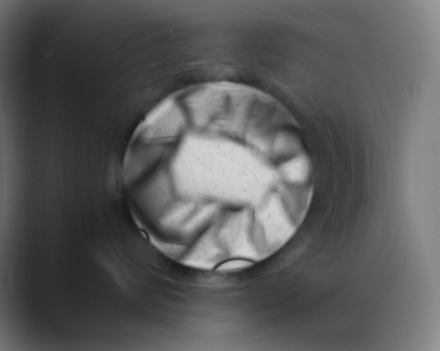 X0000088460624200706191330