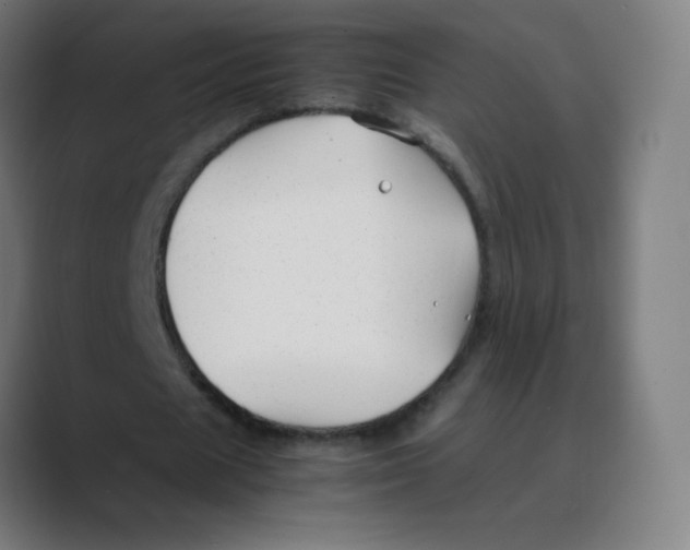 X0000088460625200706191329