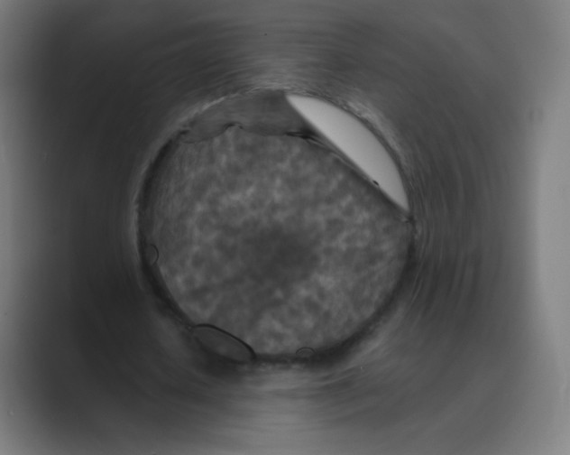X0000088460626200706191329