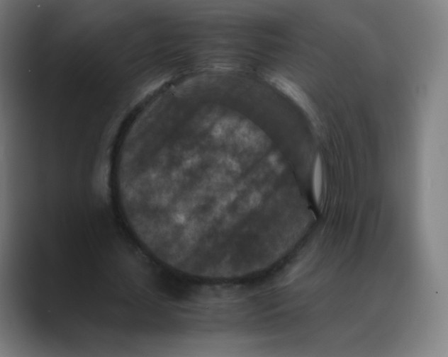 X0000088460627200706191329