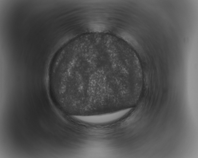 X0000088460630200706191330