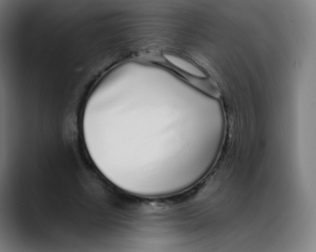 X0000088460634200706191330