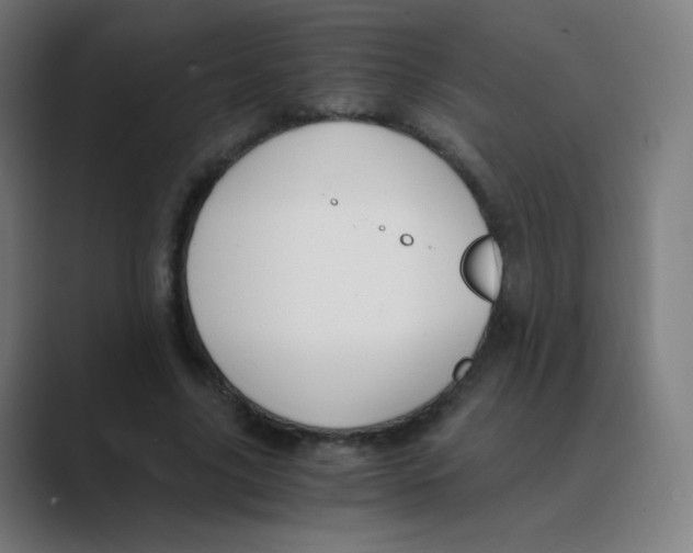 X0000088460635200706191330