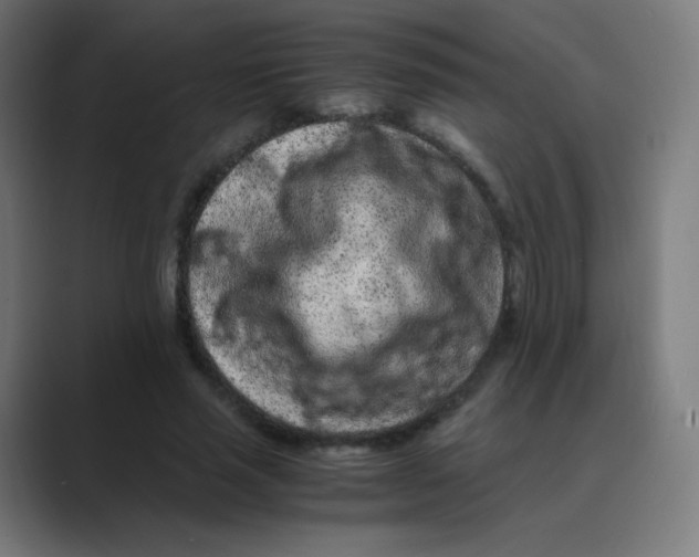 X0000088460637200706191330