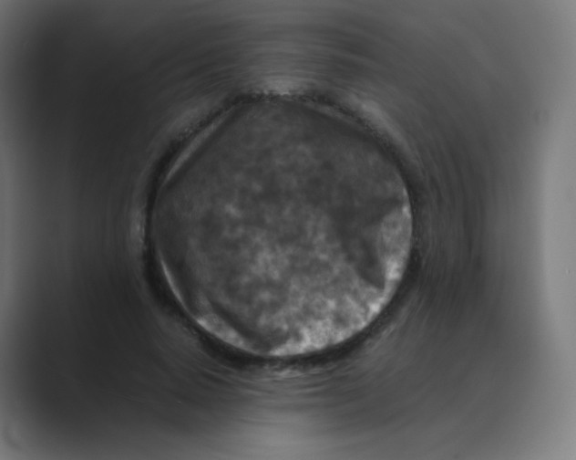X0000088460640200706191330