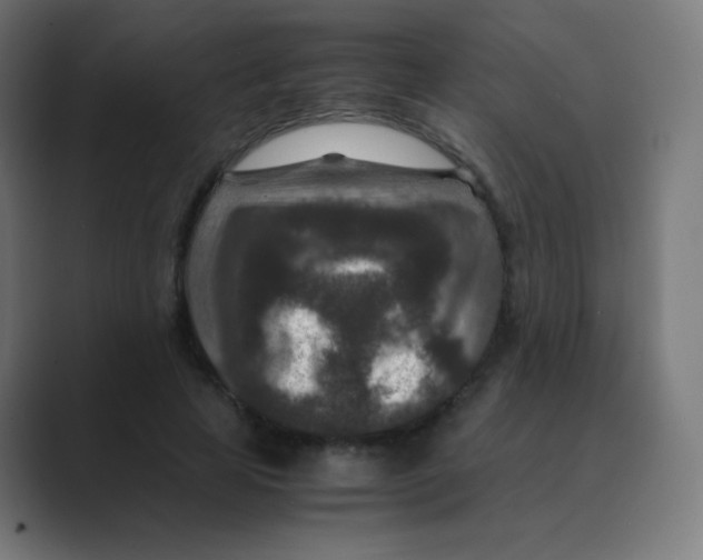 X0000088460641200706191330
