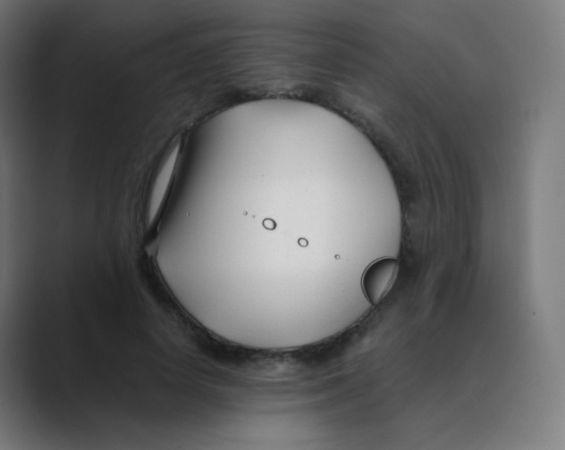 X0000088460642200706191330