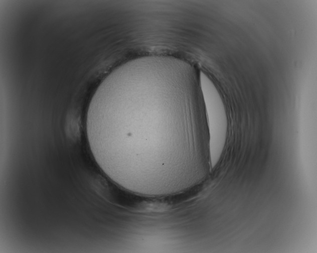 X0000088460644200706191330