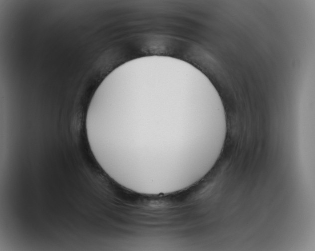 X0000088460645200706191330