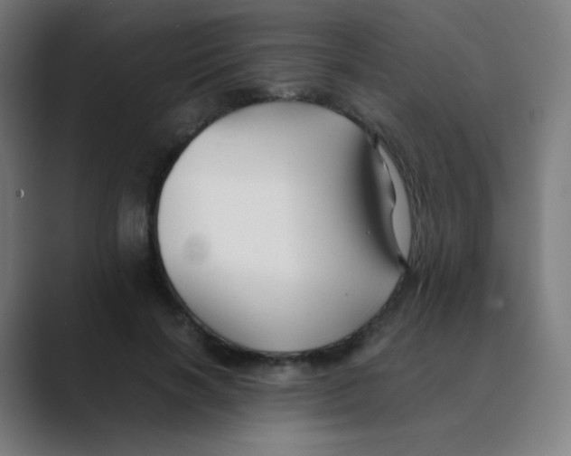 X0000088460646200706191330