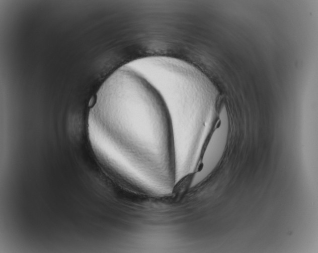 X0000088460648200706191330