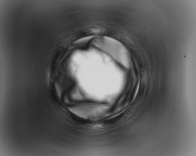 X0000088460651200706191330