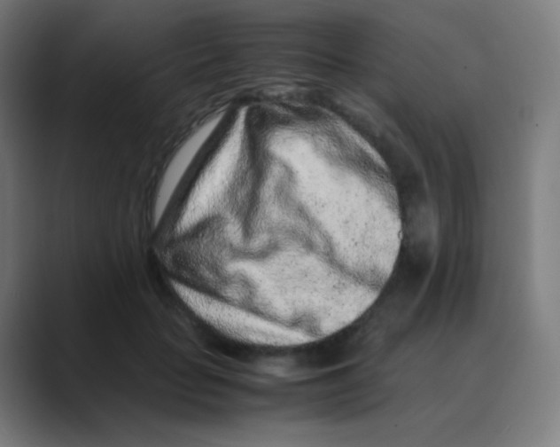 X0000088460653200706191330