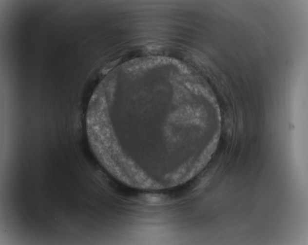 X0000088460654200706191330