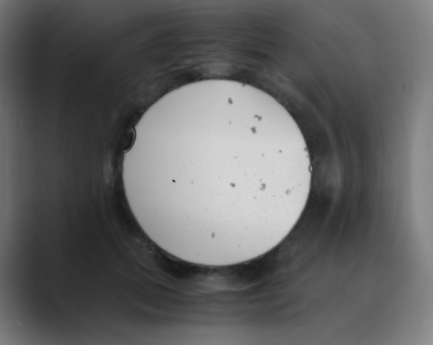 X0000088460655200706191330