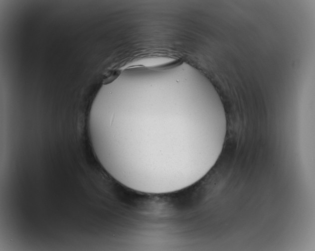 X0000088460656200706191330