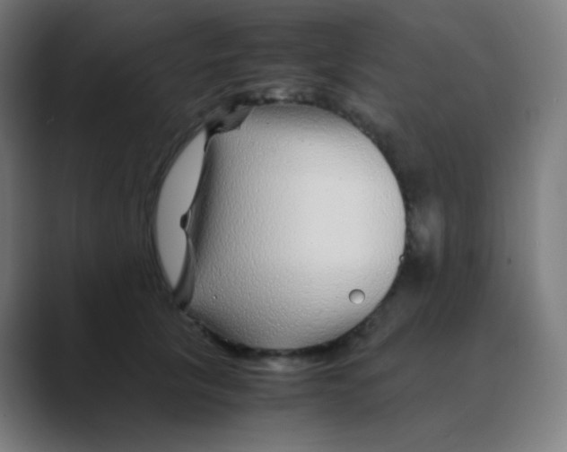 X0000088460657200706191330